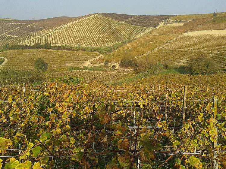 Panorama delle colline Unesco